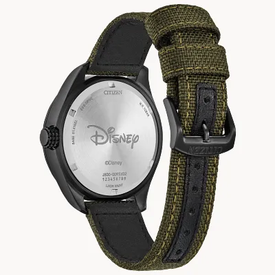 Alpine Mickey Mouse Alpine Mickey Mouse