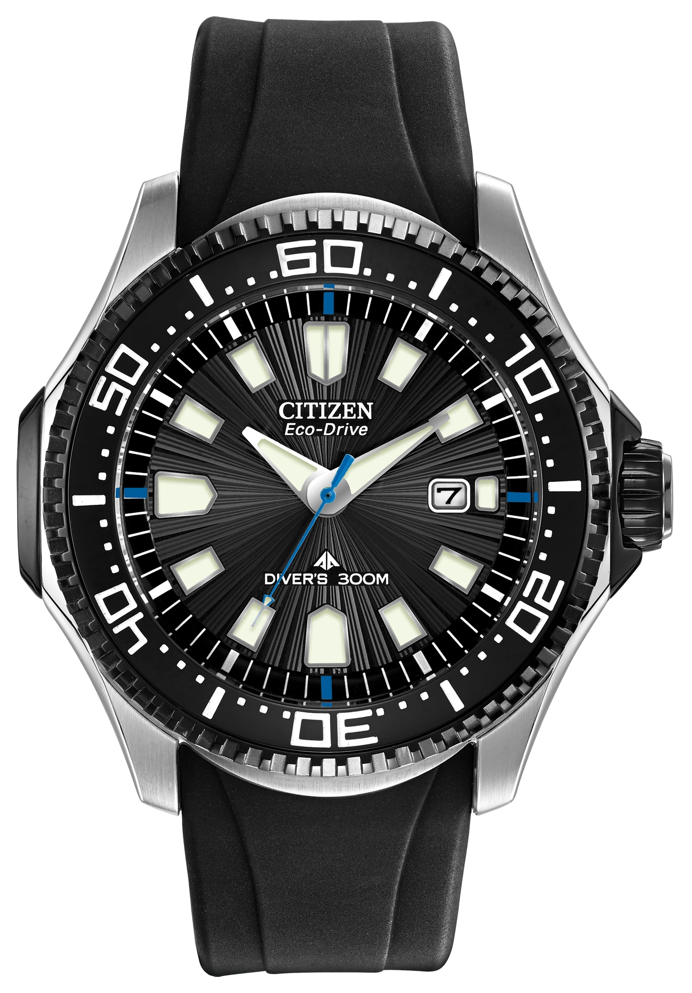 Promaster Dive image number 0