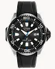 Promaster Dive image number 0