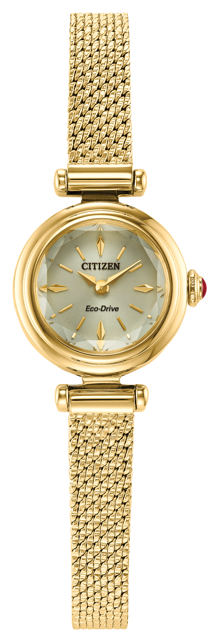 Citizen Fio