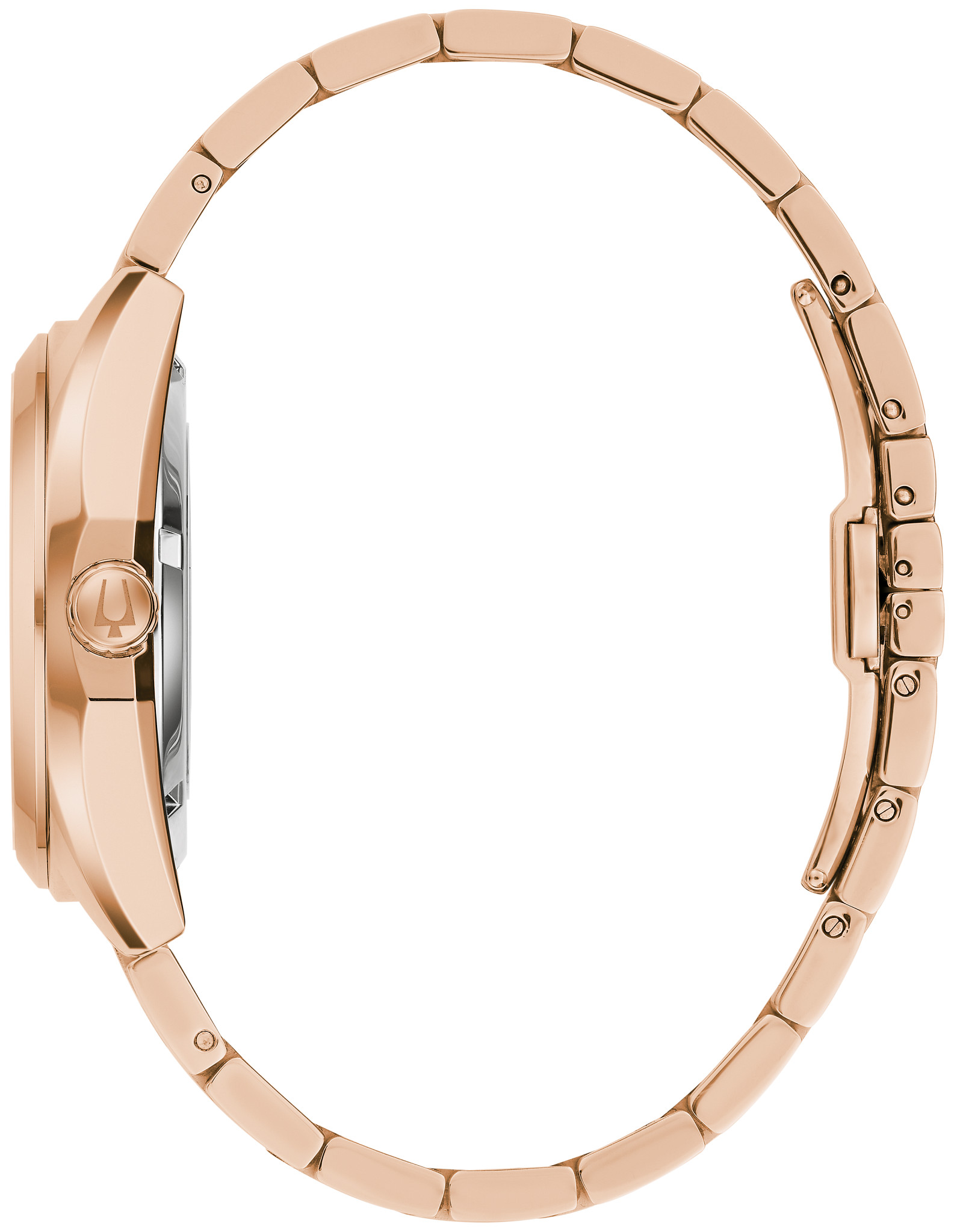 Surveyor image number 1