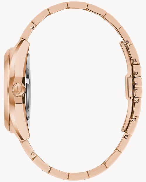 Surveyor image number 1