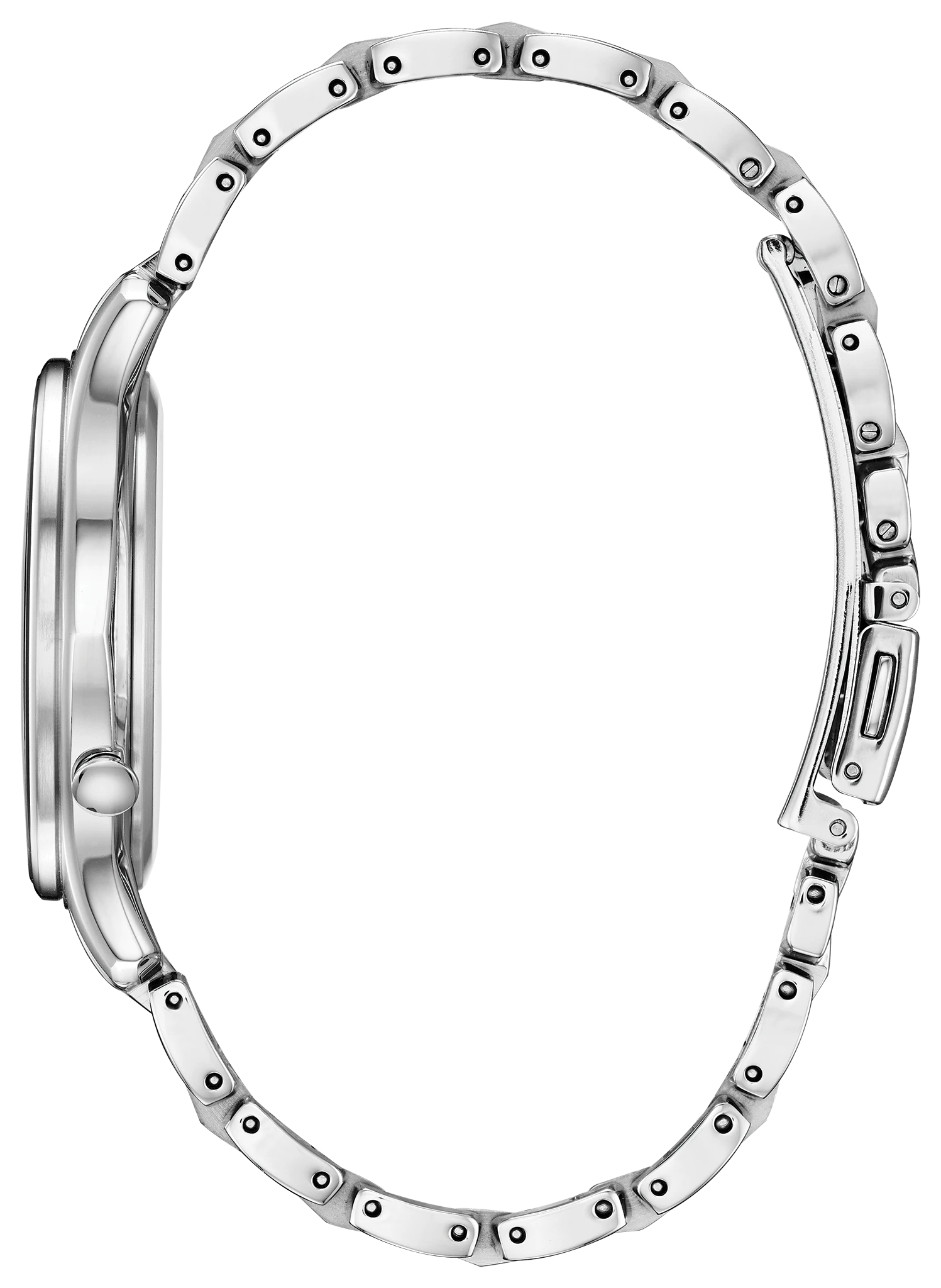 Modena image number 1