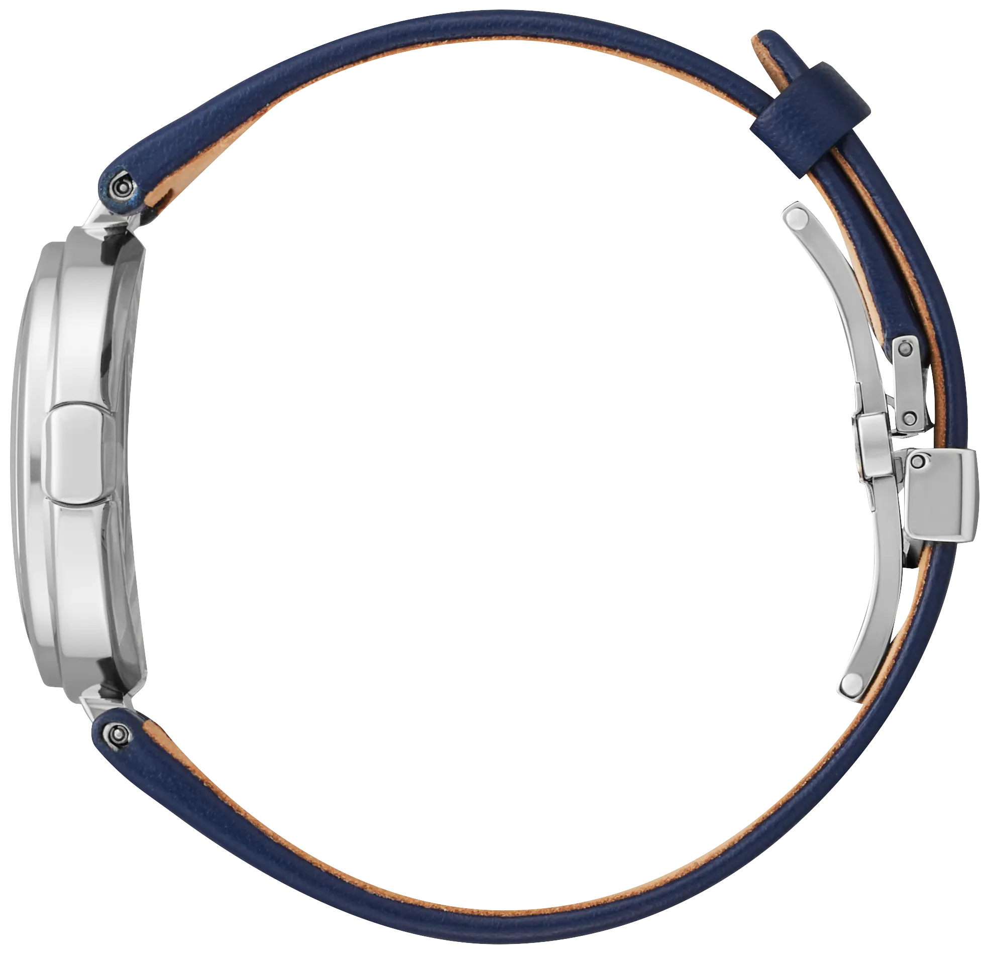 Capella image number 1