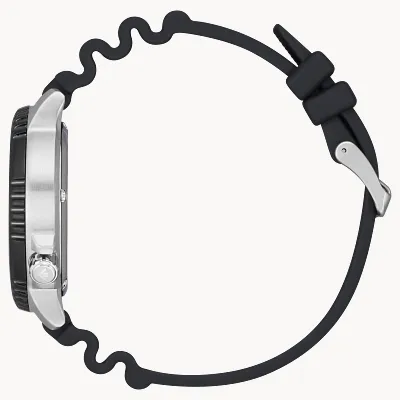 Promaster Dive Promaster Dive