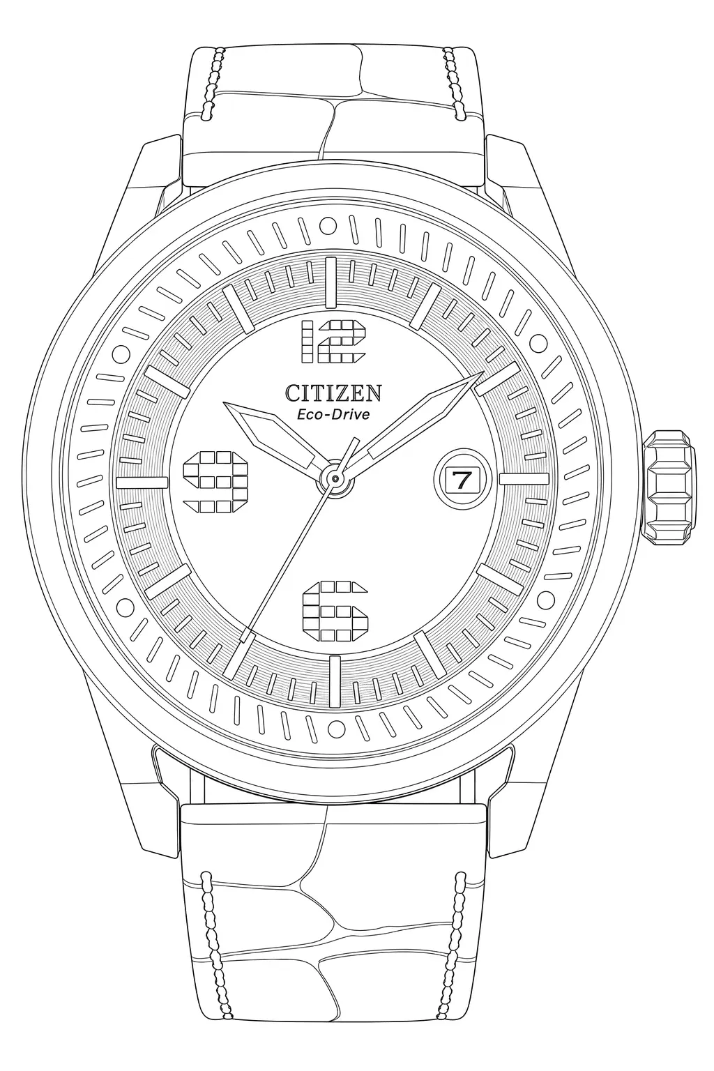 Watch technical diagram