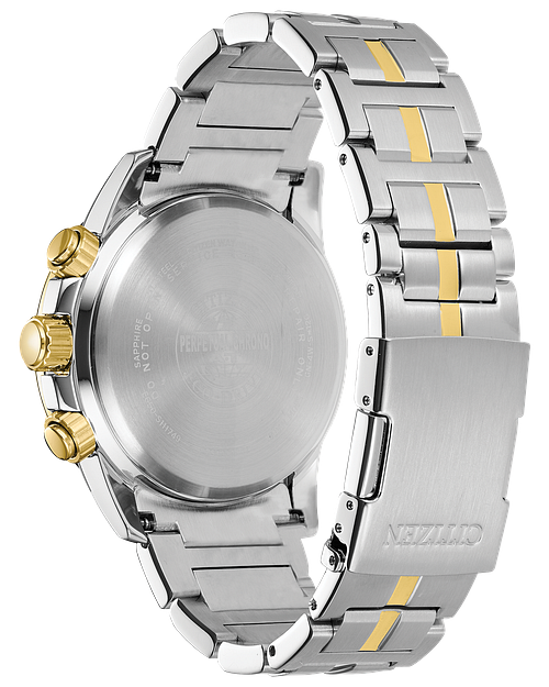 Citizen e650 2025 watch band