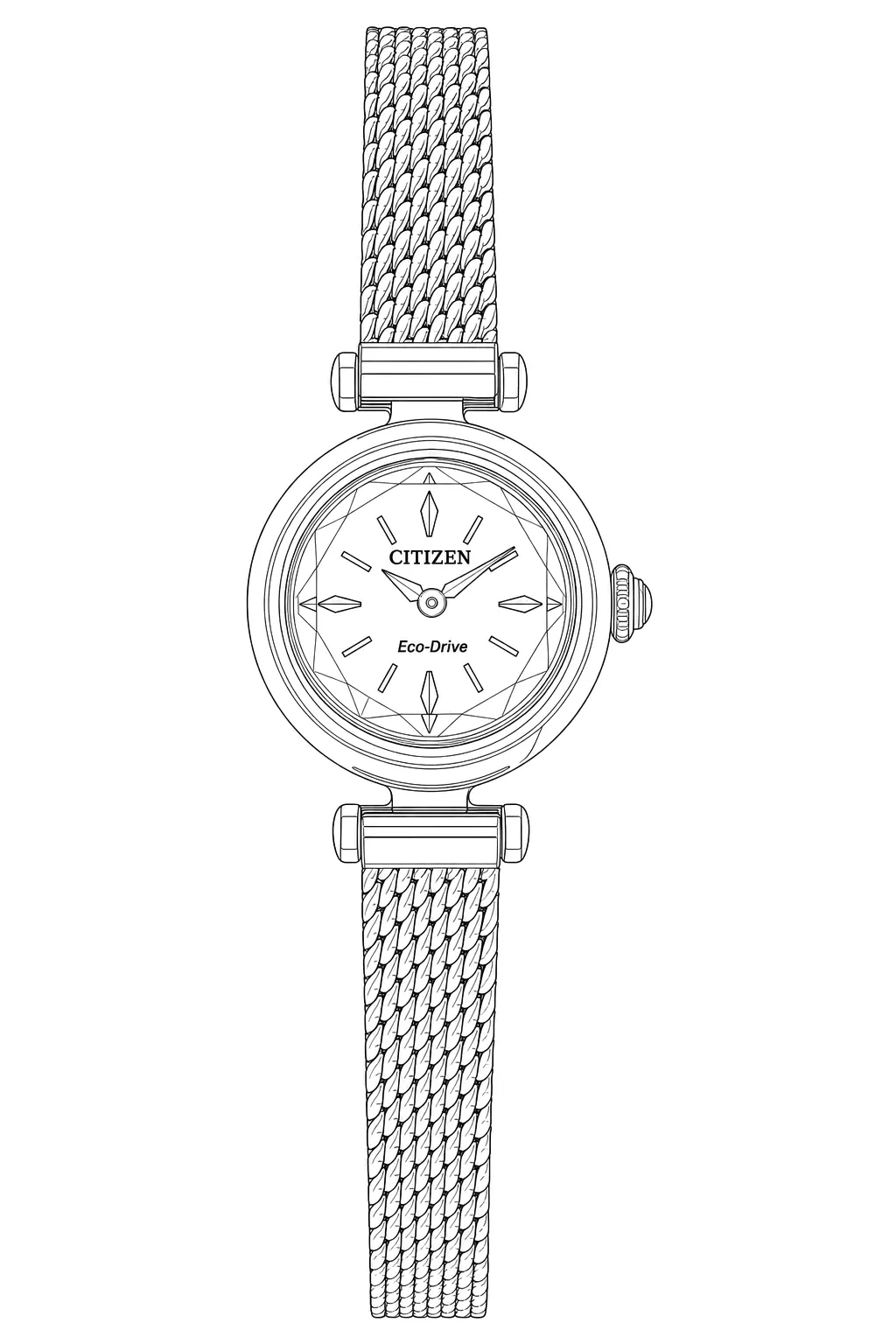 Watch technical diagram