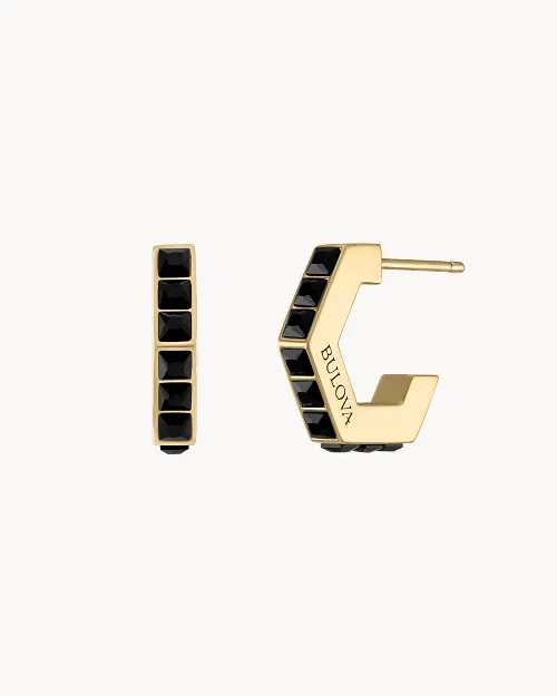 Icon Earrings image number 0