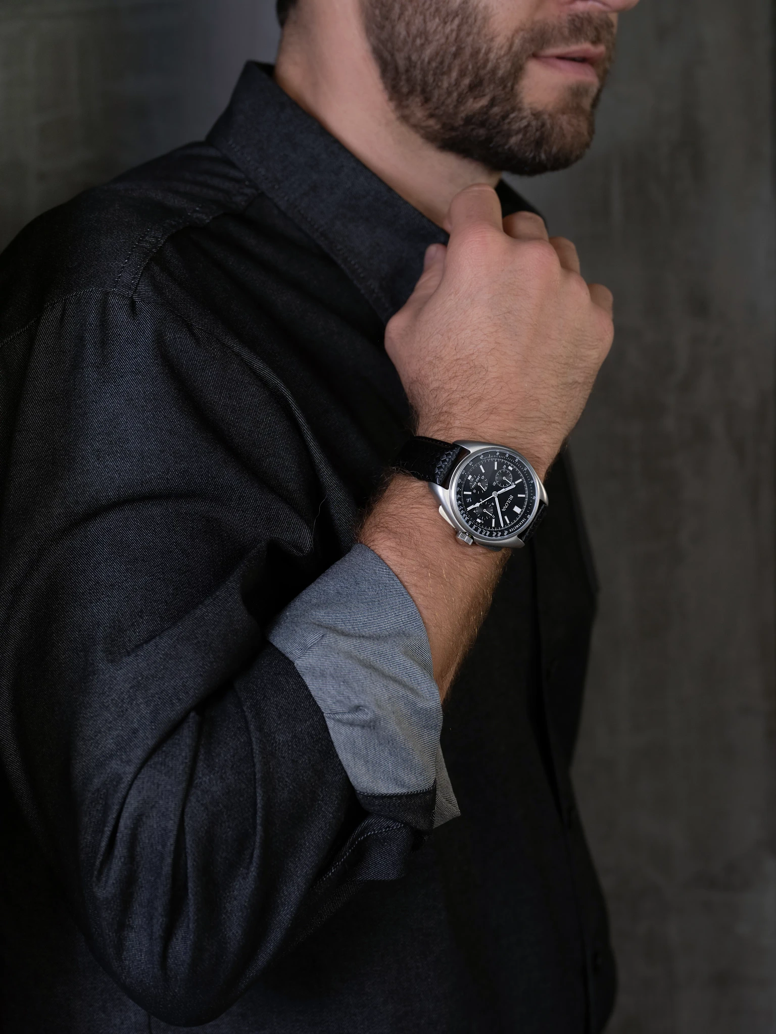 Lunar Pilot image number 4