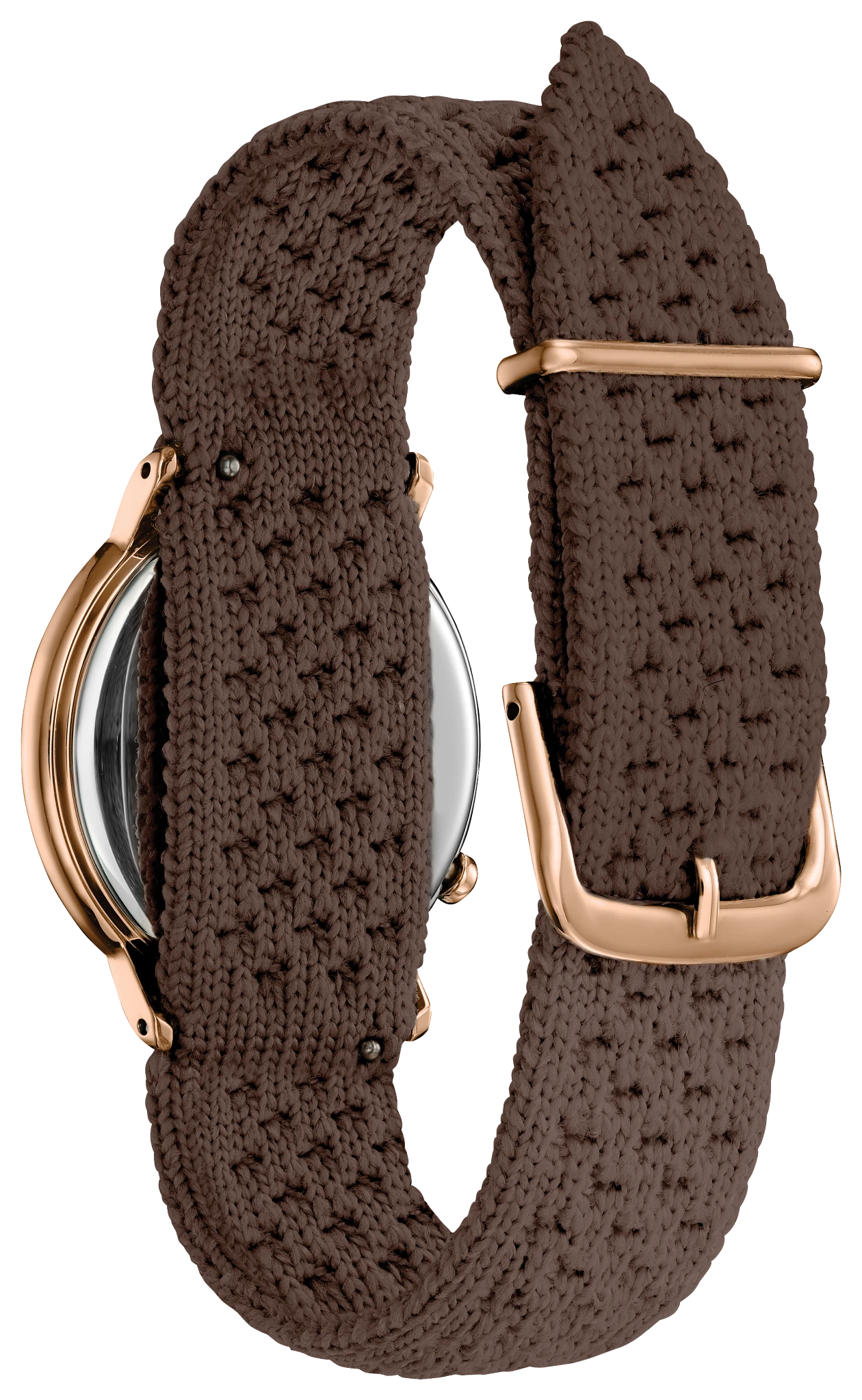 Ecosphere image number 2