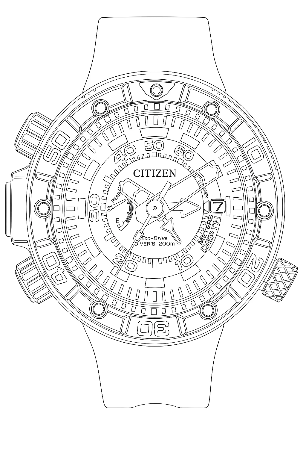 Watch technical diagram