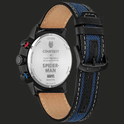 Spider-Man Double Vision Spider-Man Double Vision