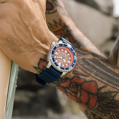 Promaster Dive Promaster Dive