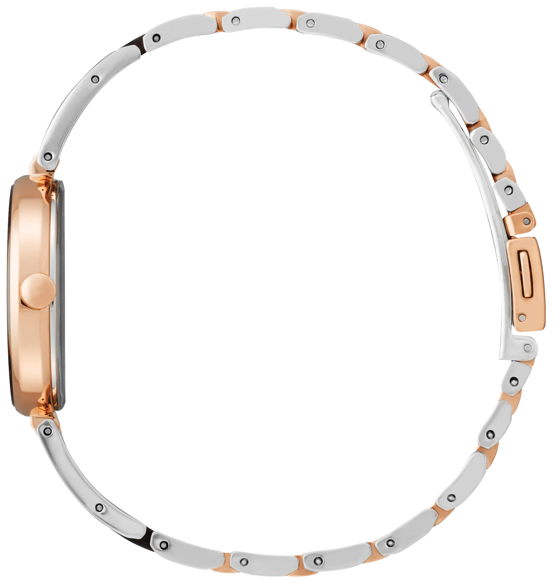 Axiom image number 1