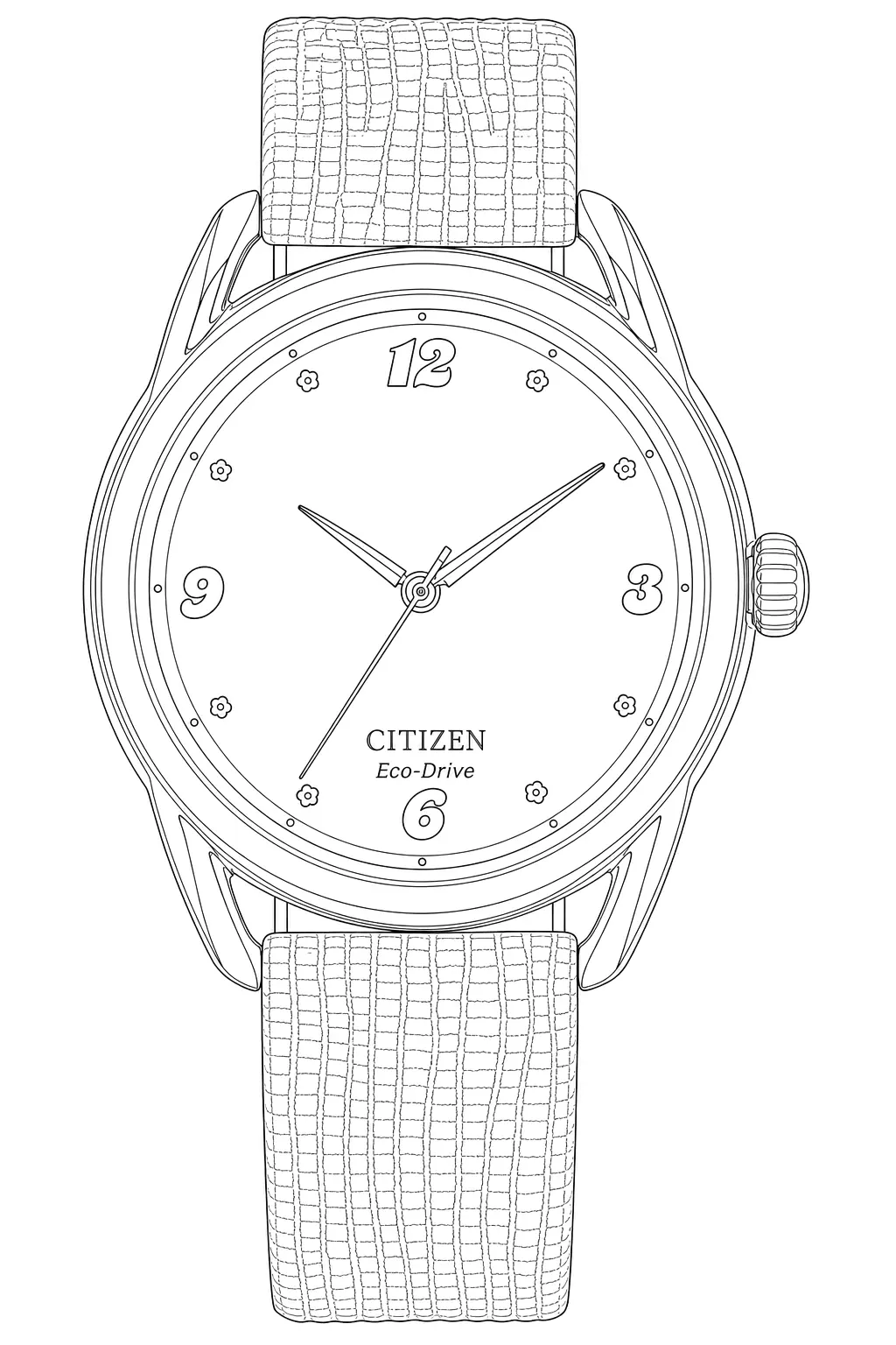 Watch technical diagram