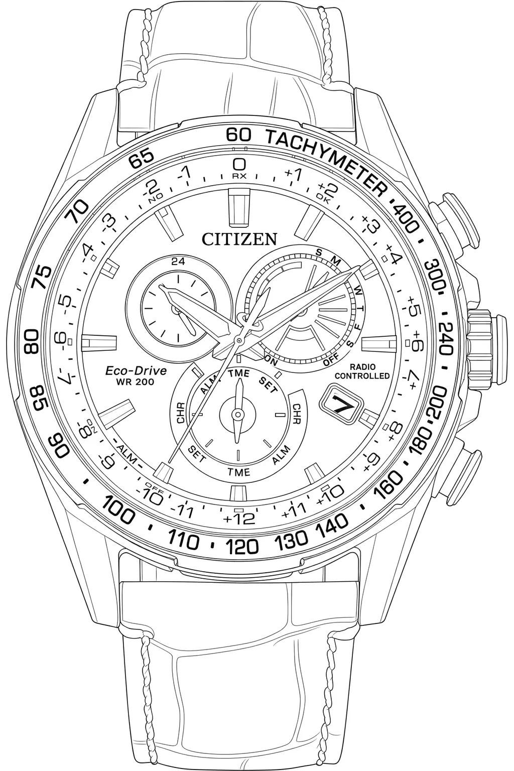 Watch technical diagram