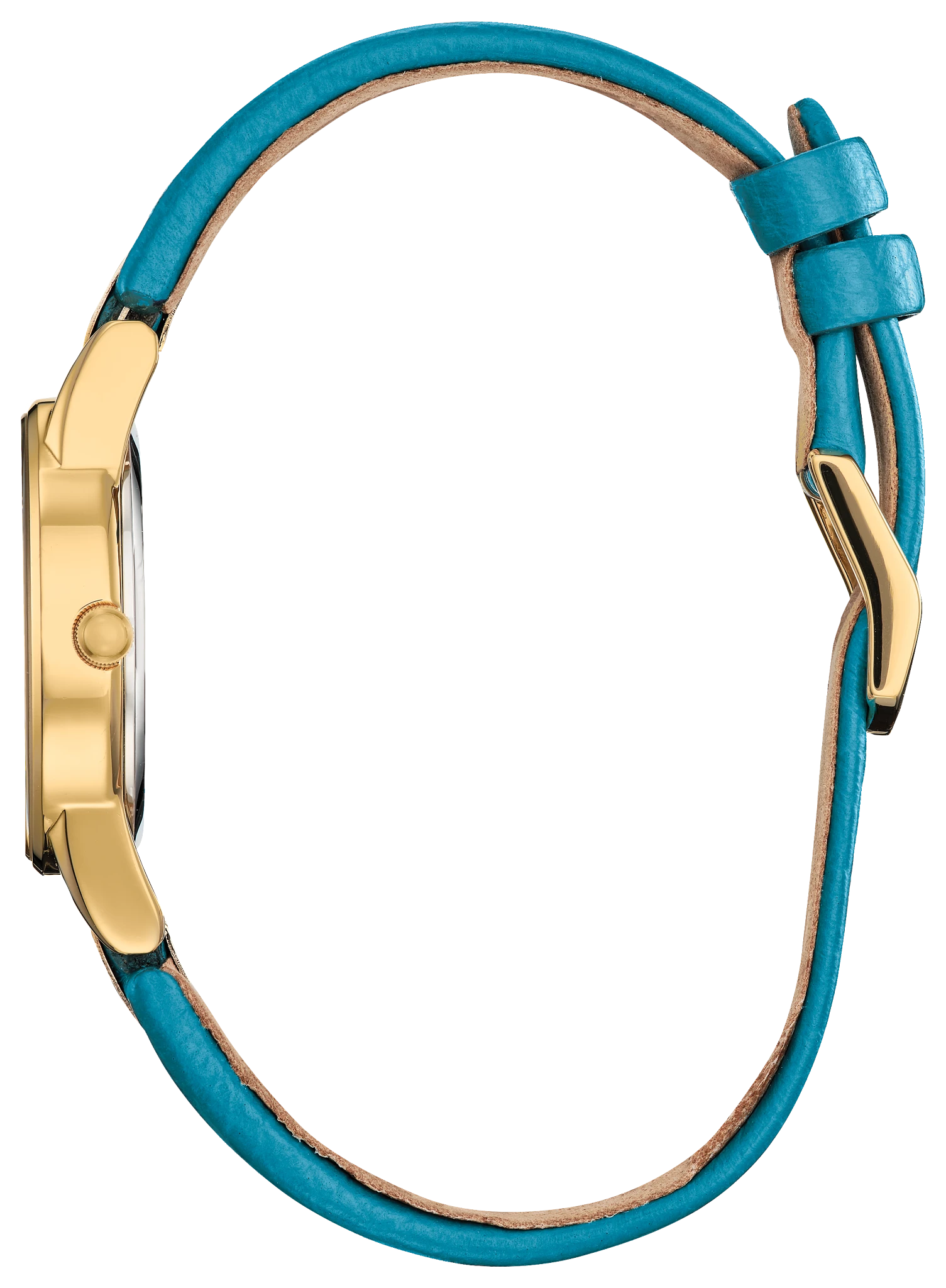 Aladdin 30th Anniversary