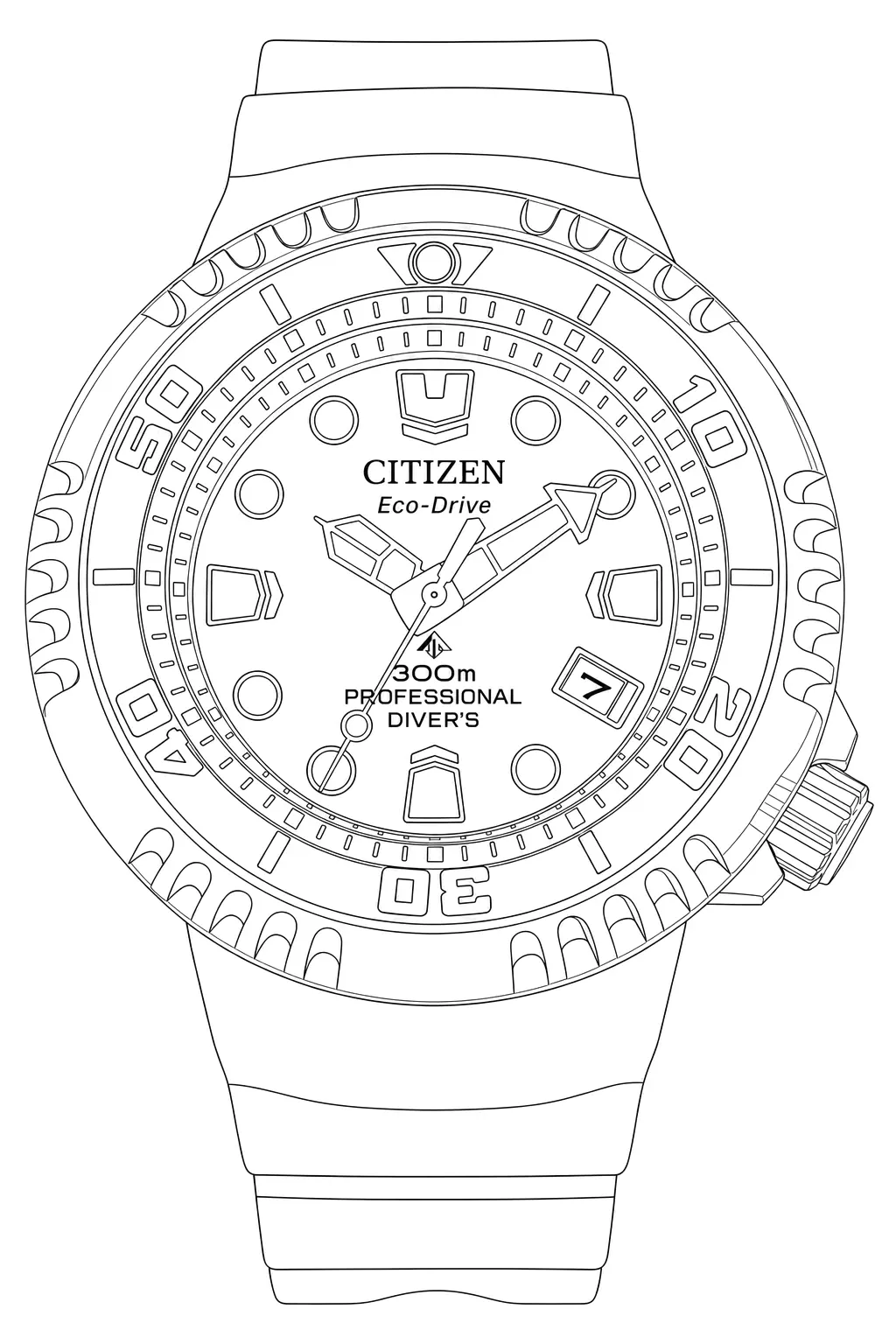 Watch technical diagram