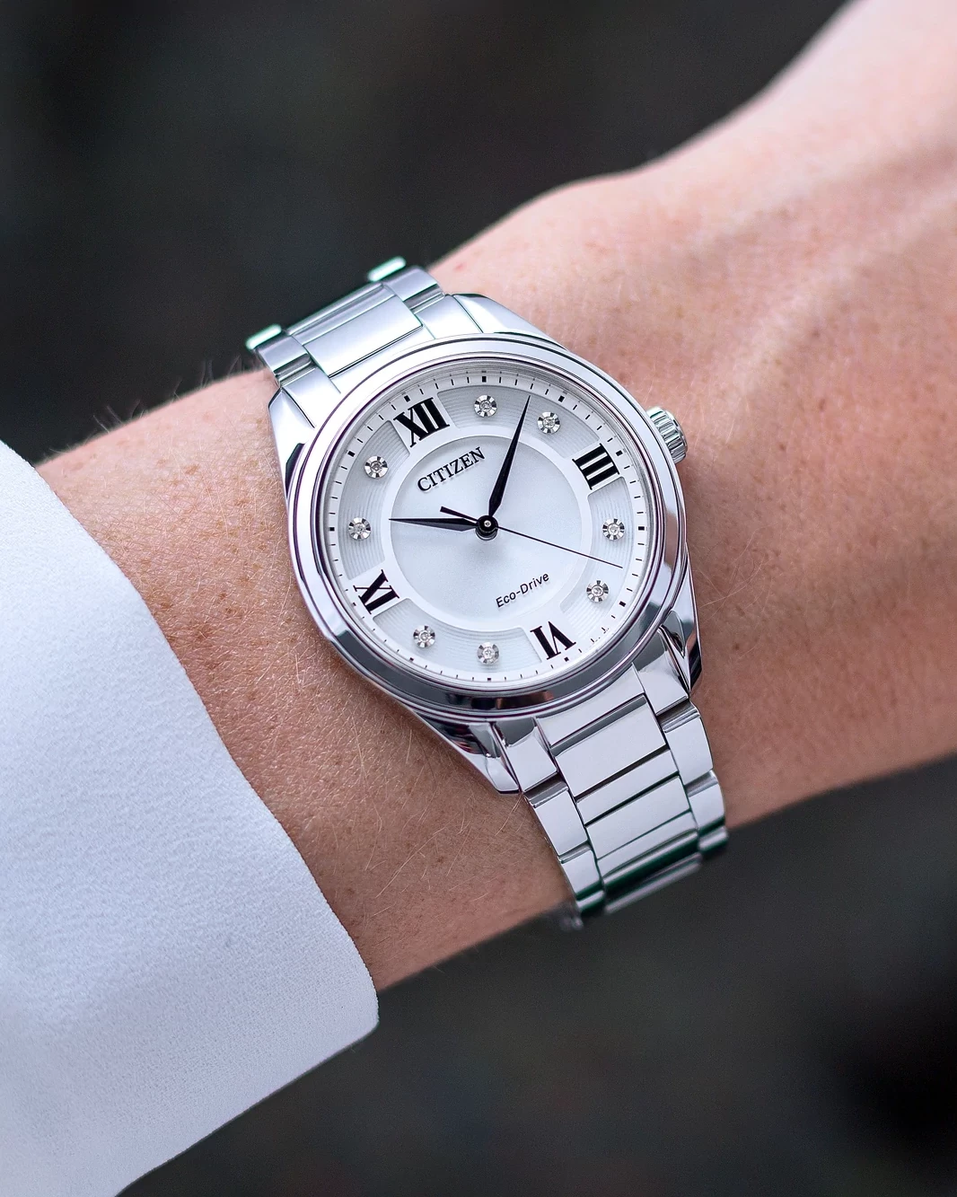 Arezzo image number 3