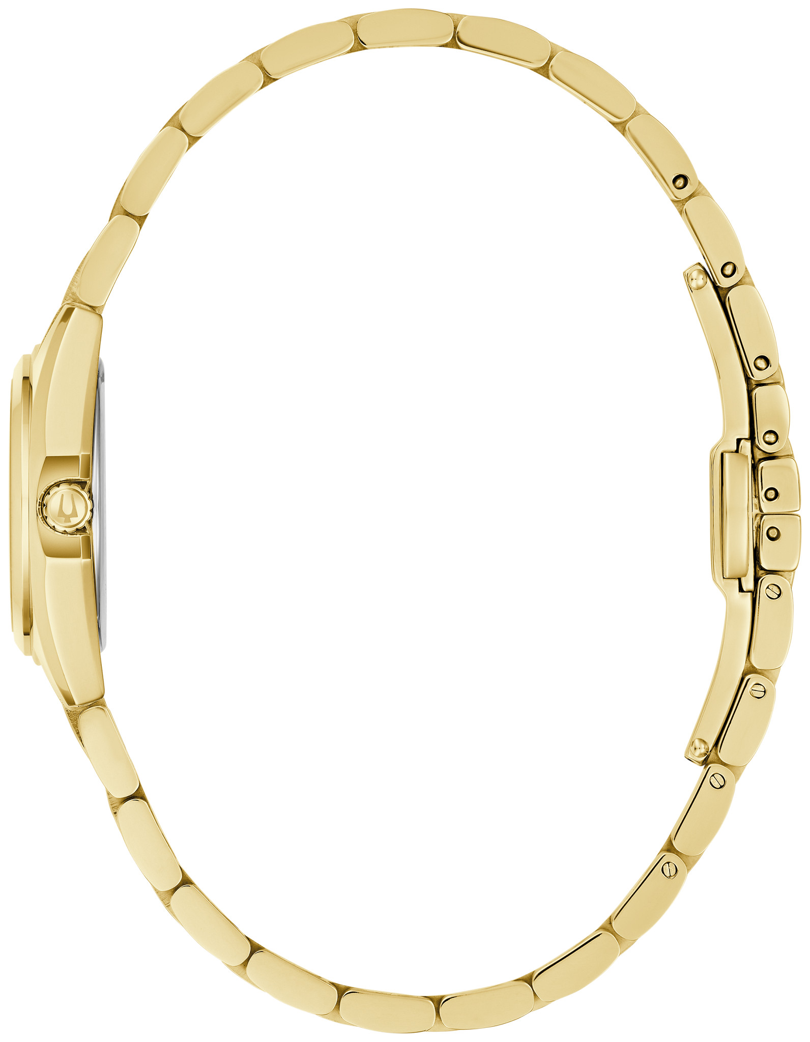 Surveyor image number 1