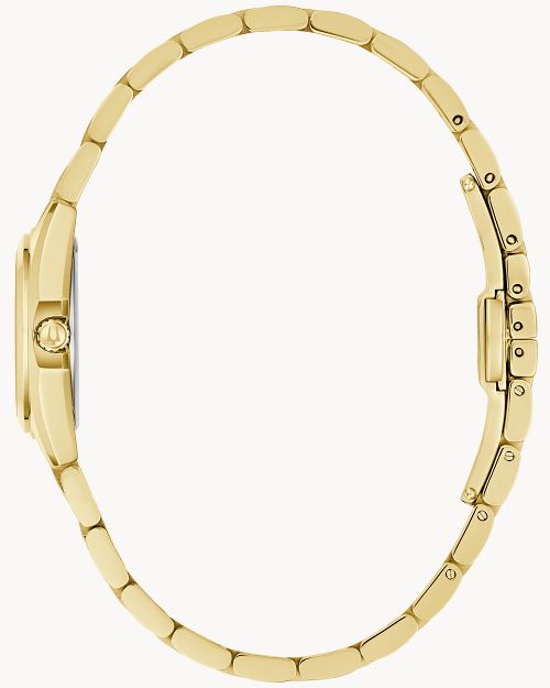 Surveyor image number 1