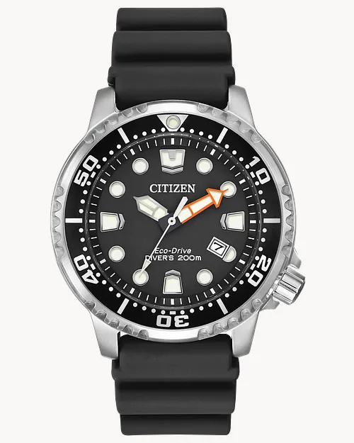 Promaster Dive image number 0