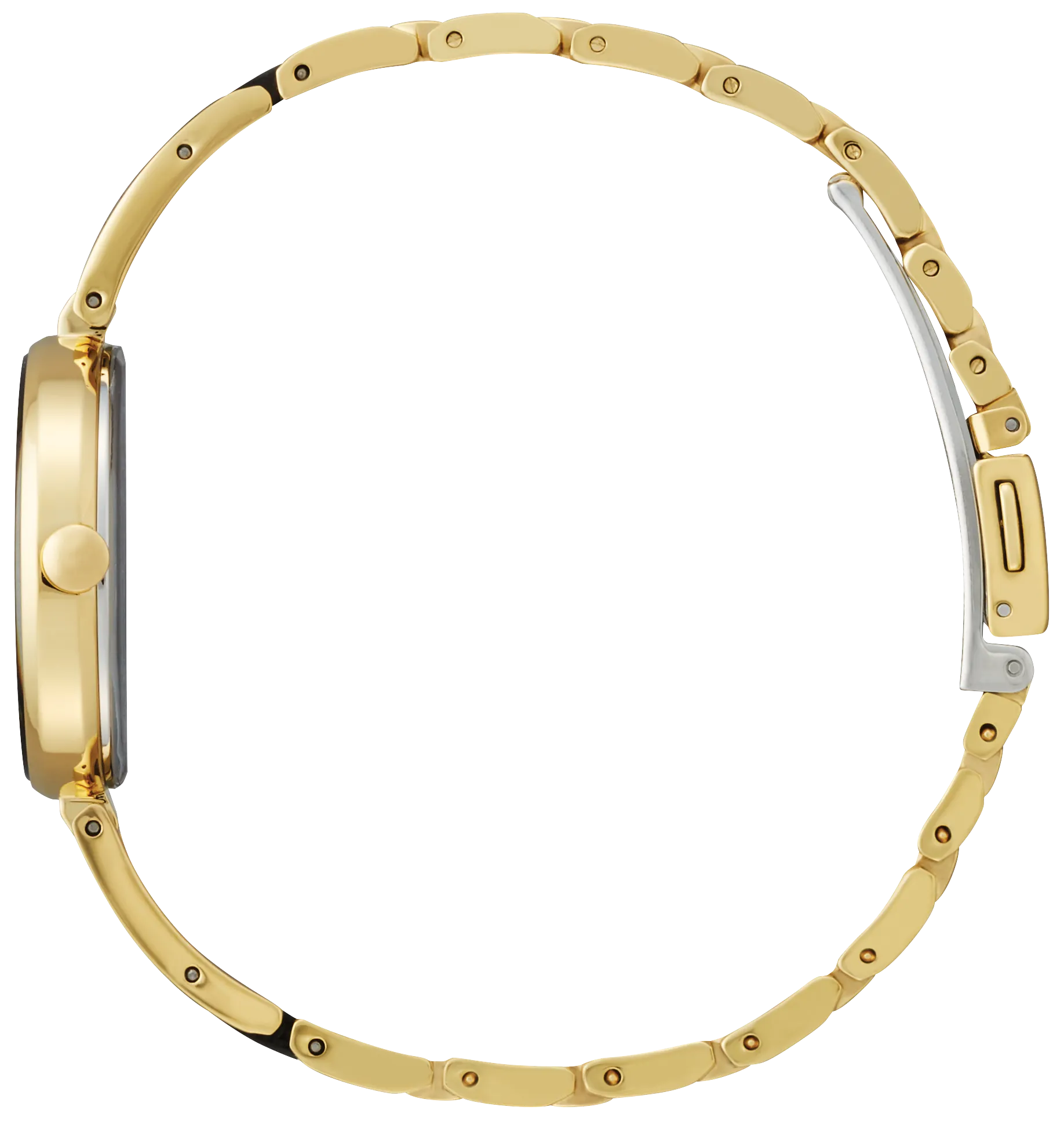 Axiom image number 1