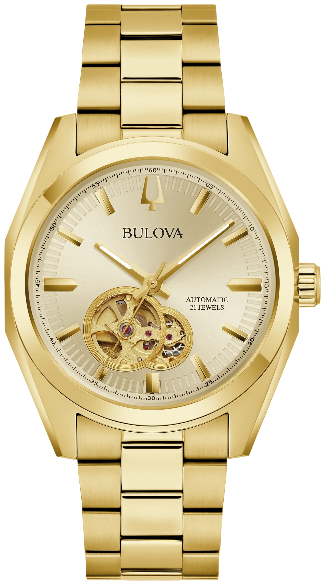 Surveyor image number 0