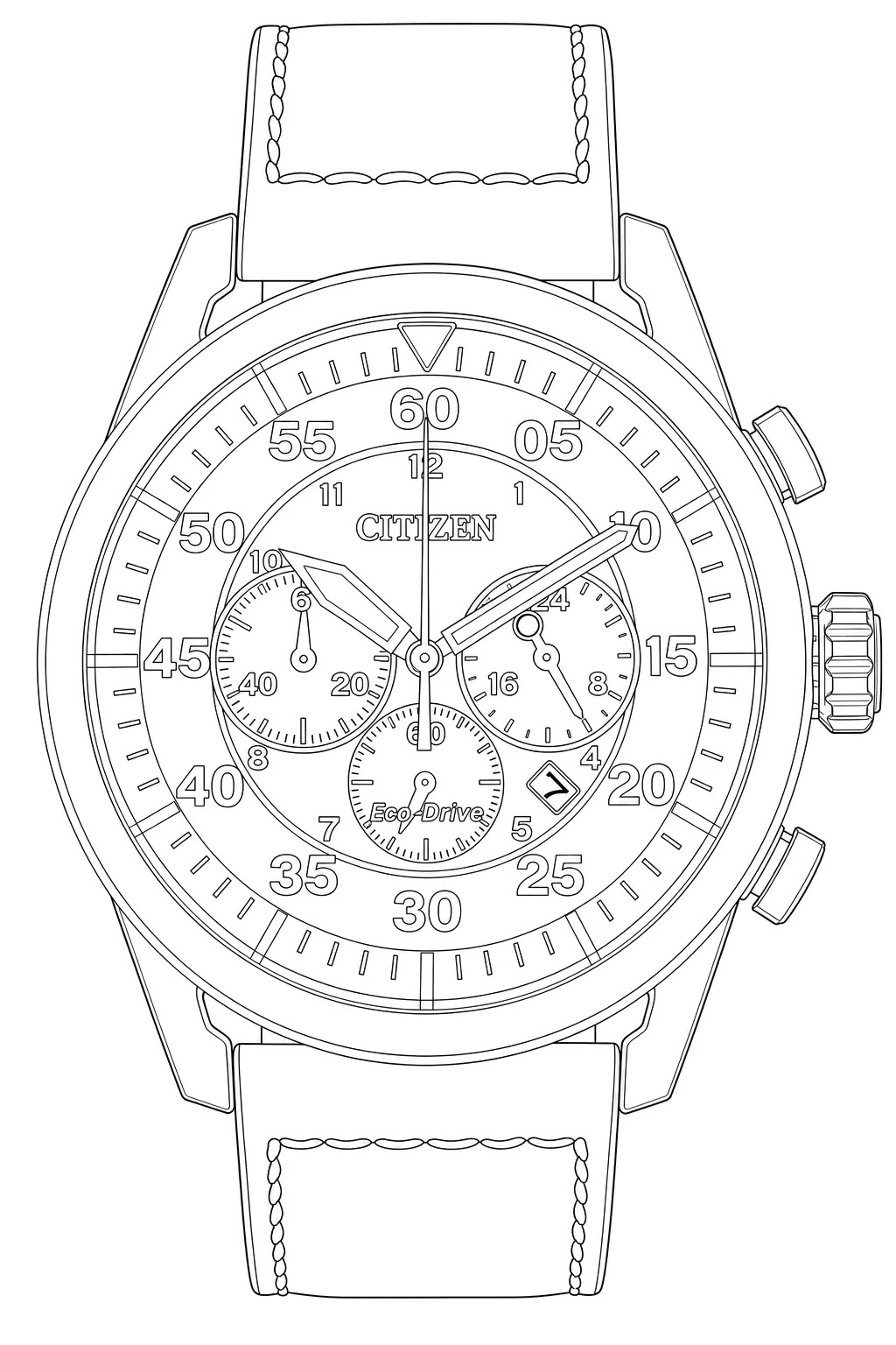 Watch technical diagram