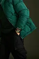 Hulk, Green Goliath image number 8