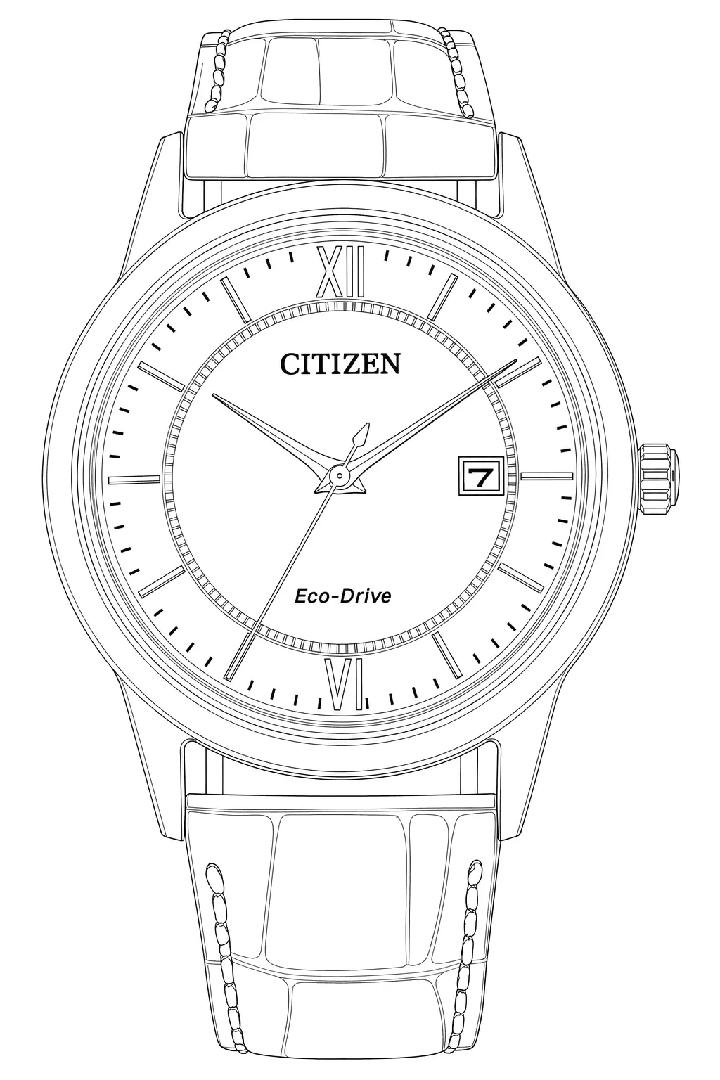 Watch technical diagram