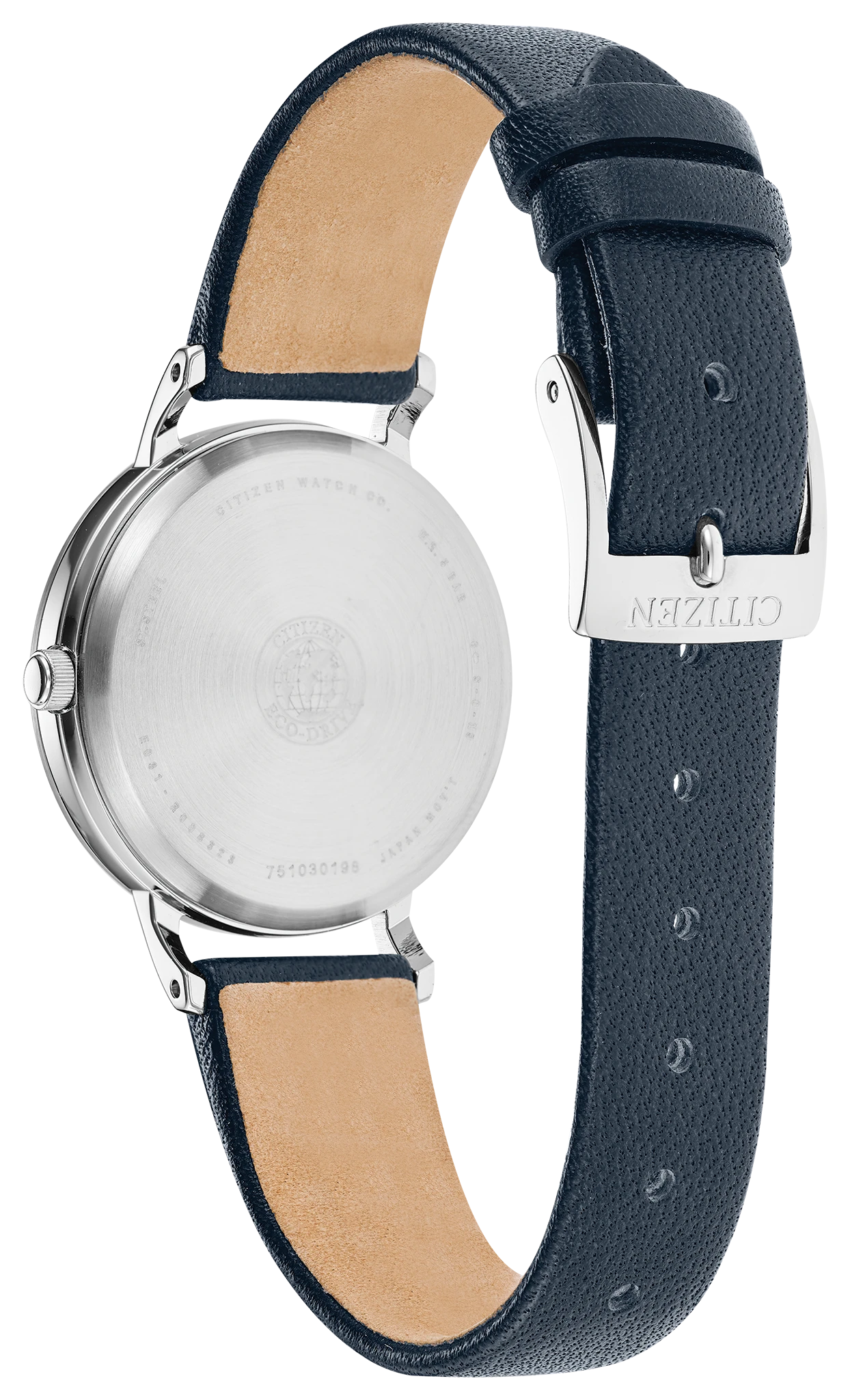 Chandler image number 2