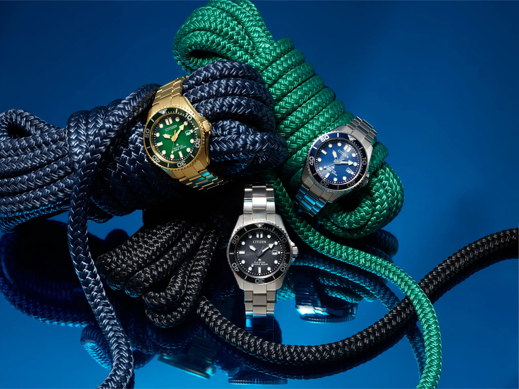 Promaster Dive