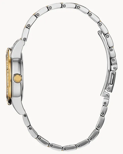 Silhouette Crystal image number 1