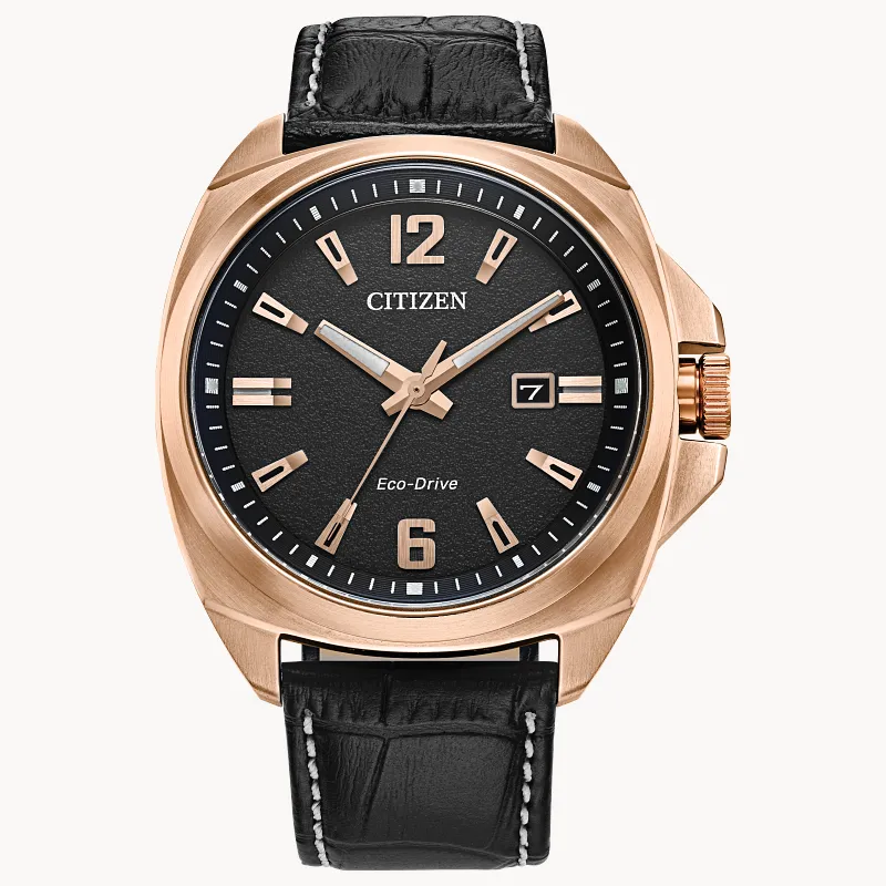 Endicott Black Dial Leather Strap AW1723 02E CITIZEN