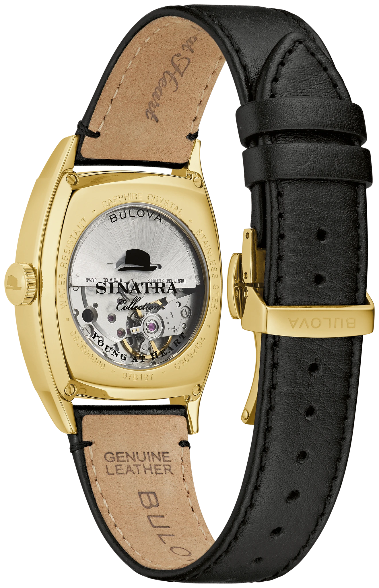 Young at Heart image number 2