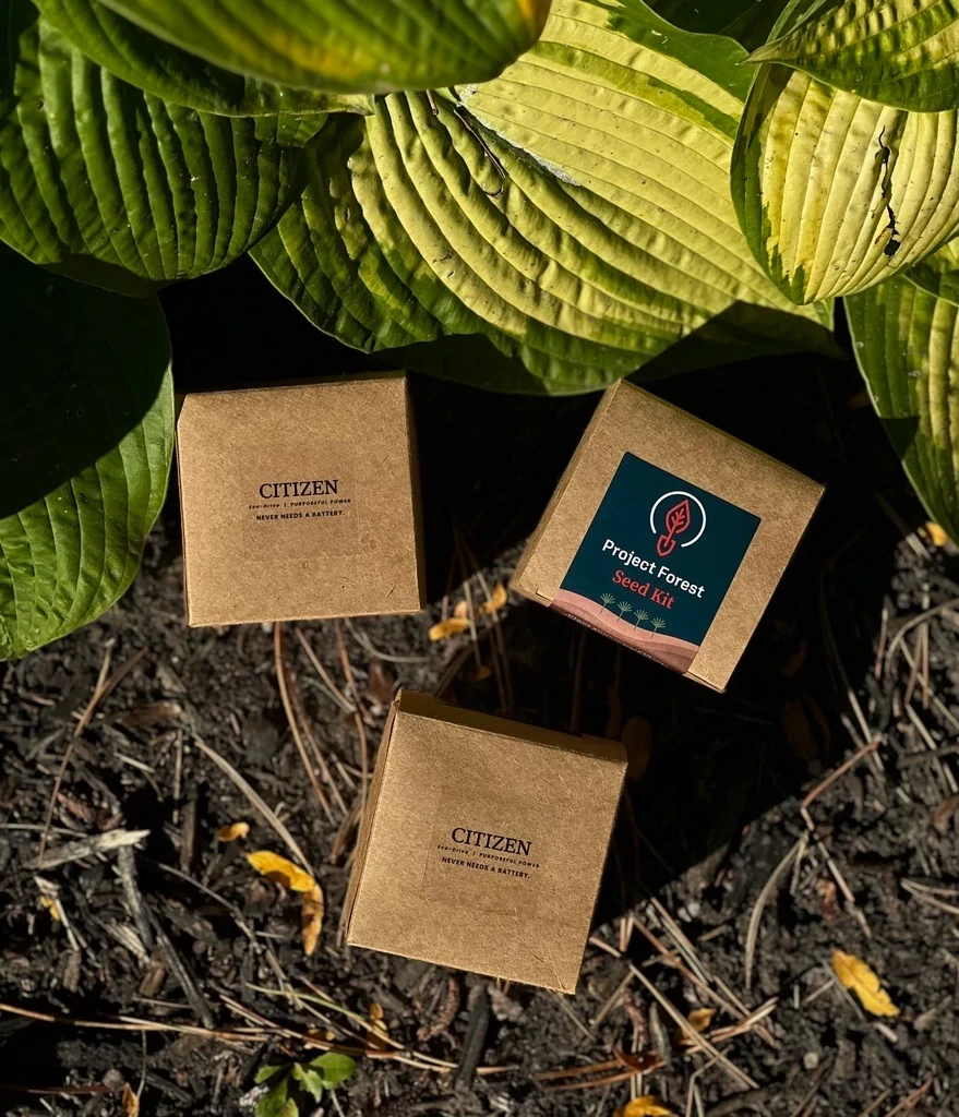 KIT DE GRAINES D'&Eacute;PIC&Eacute;A BLANC image number 0