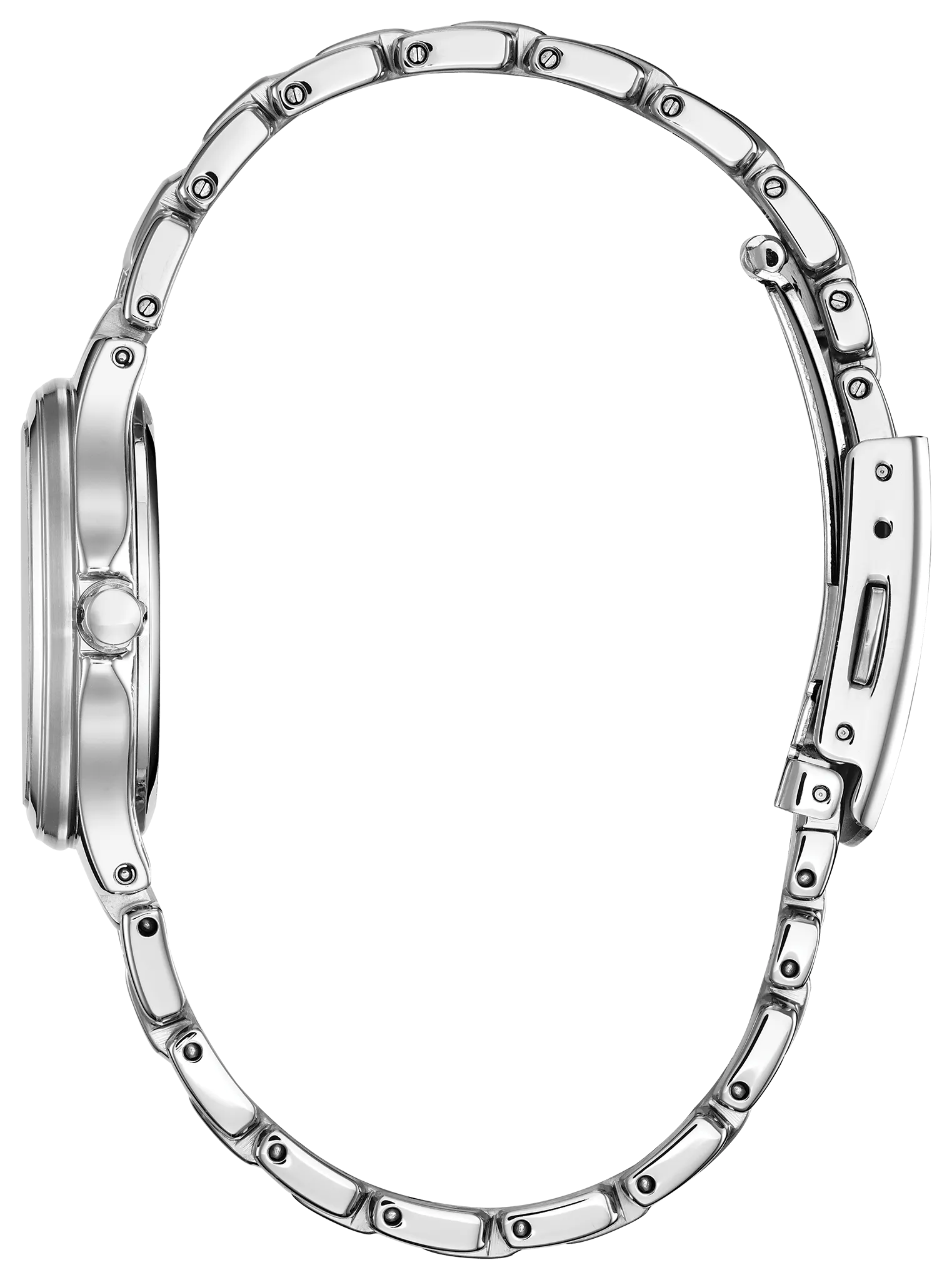 Chandler image number 1