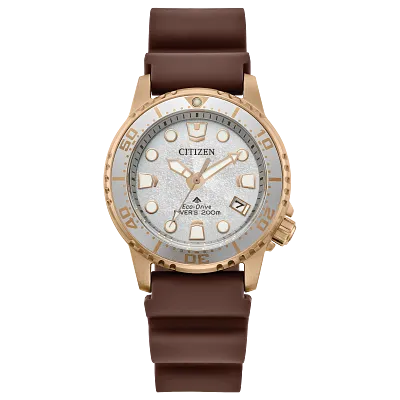 Promaster Dive Promaster Dive