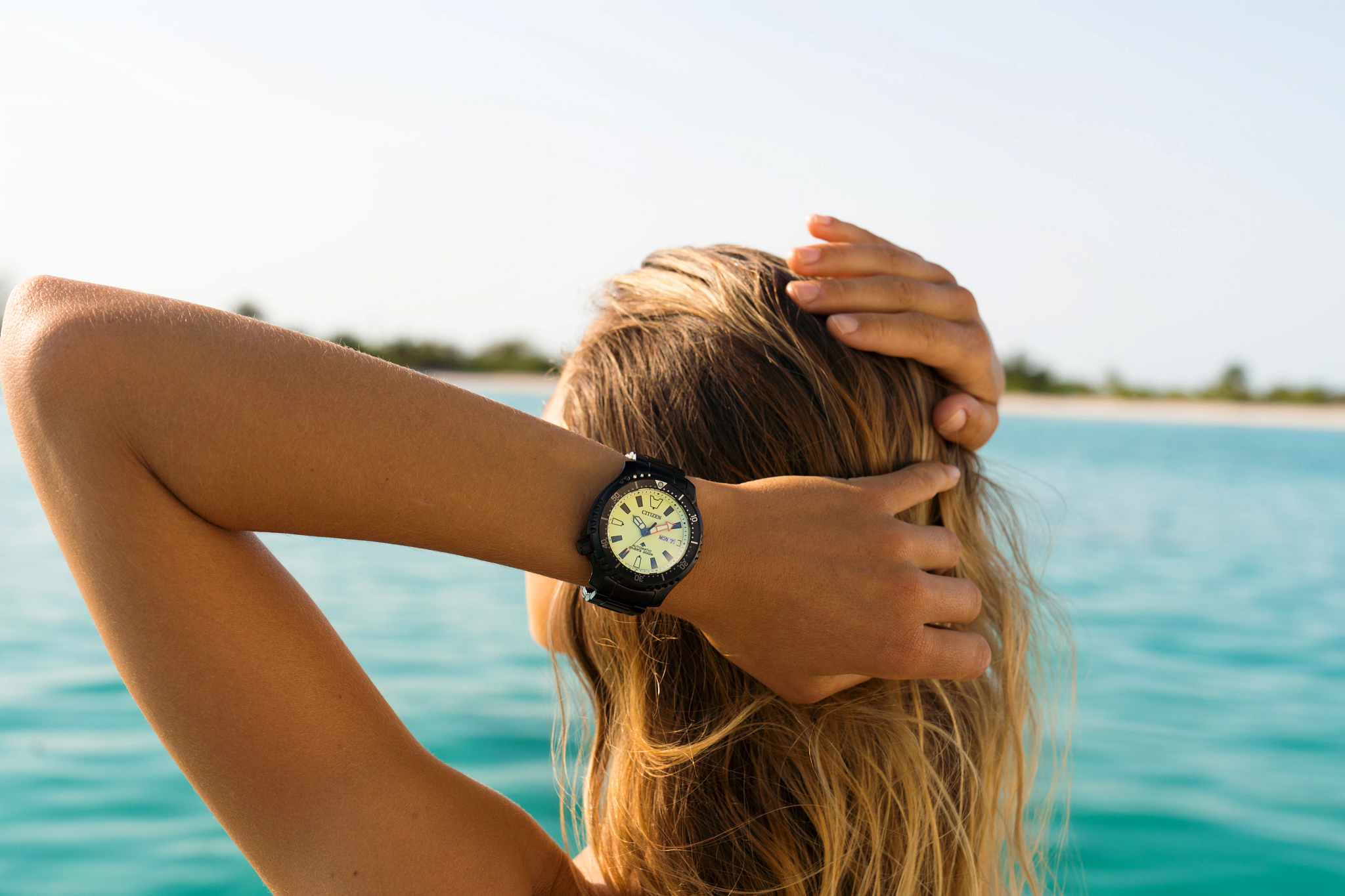 Promaster Dive Automatic