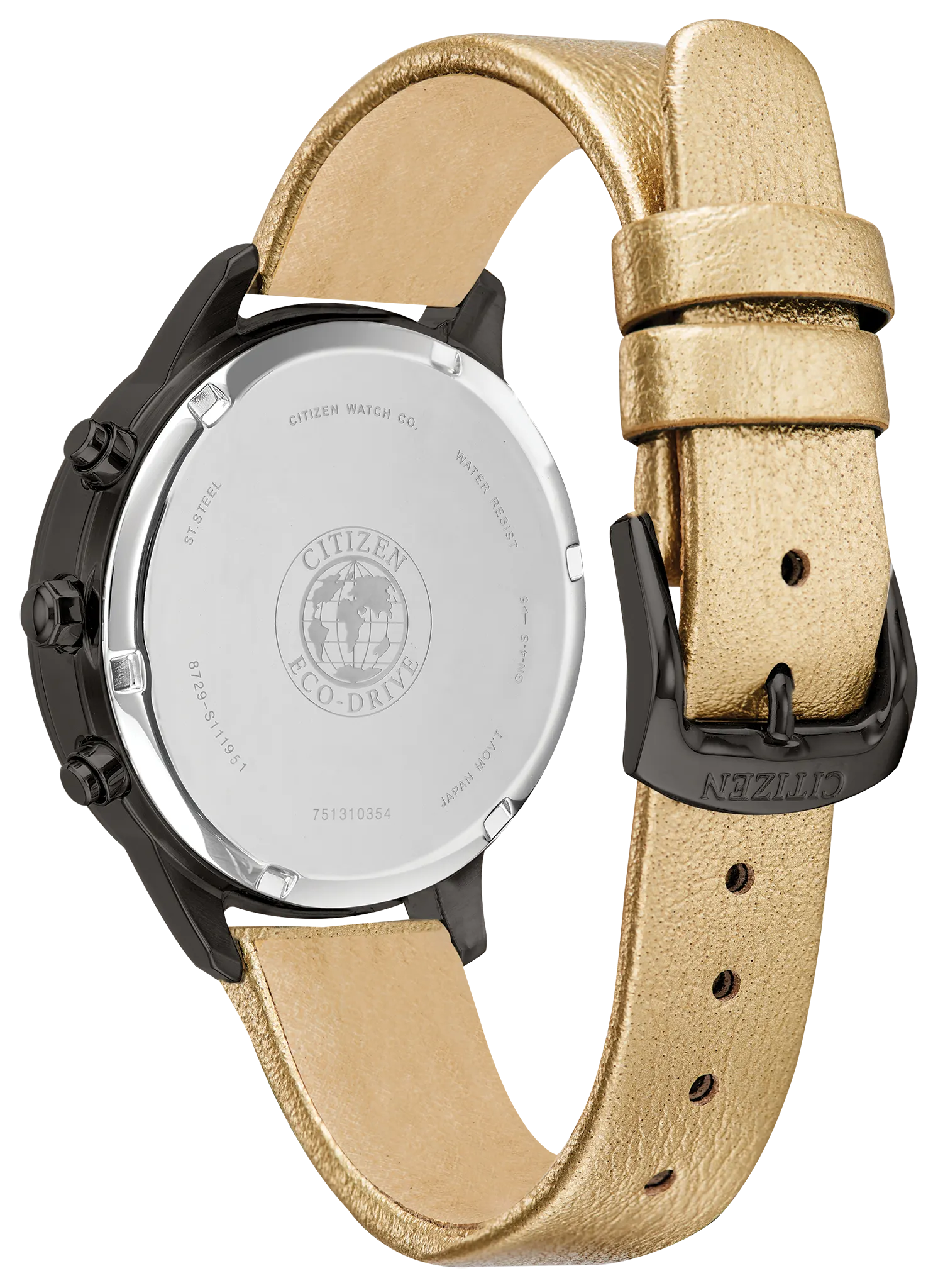 Chandler image number 2