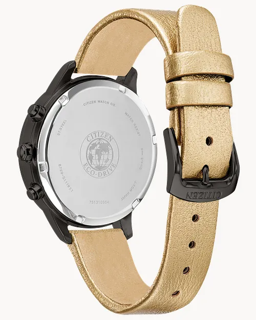 Chandler image number 2