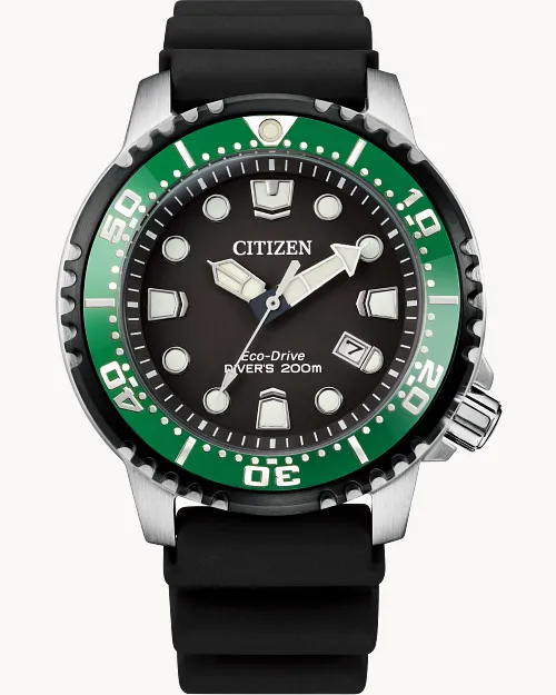 Promaster Dive image number 0