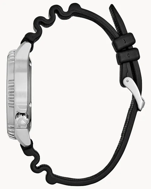 Promaster Dive image number 1