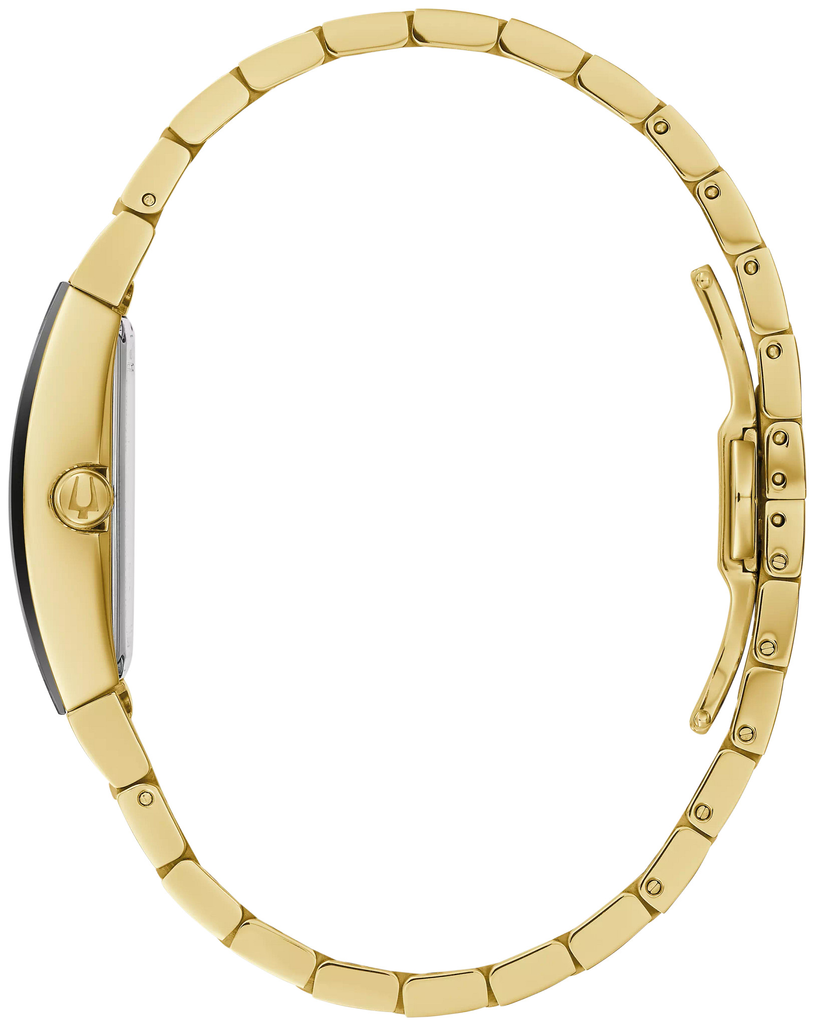 Gemini image number 1