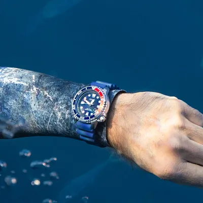 Promaster Dive Promaster Dive