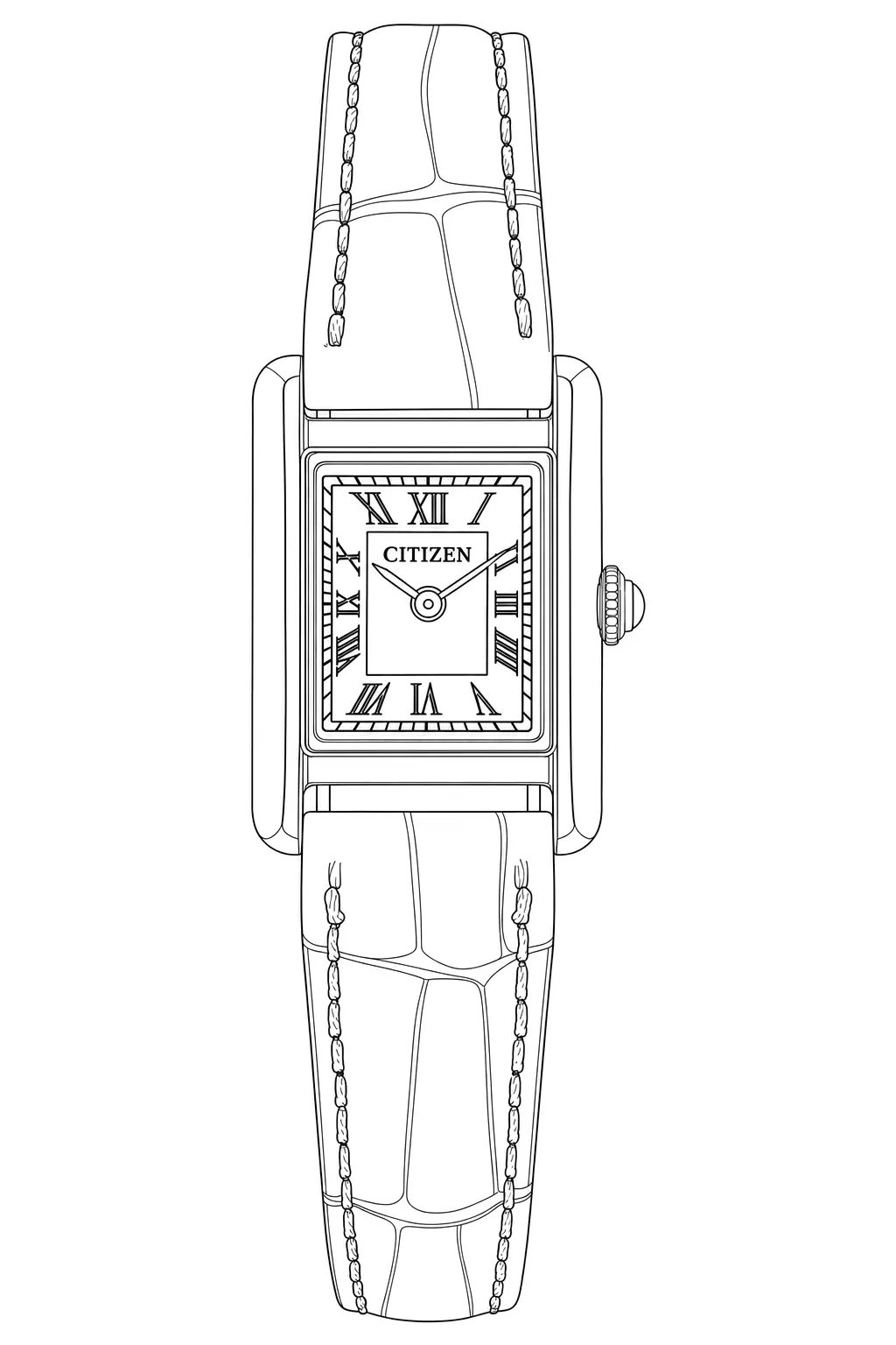 Watch technical diagram