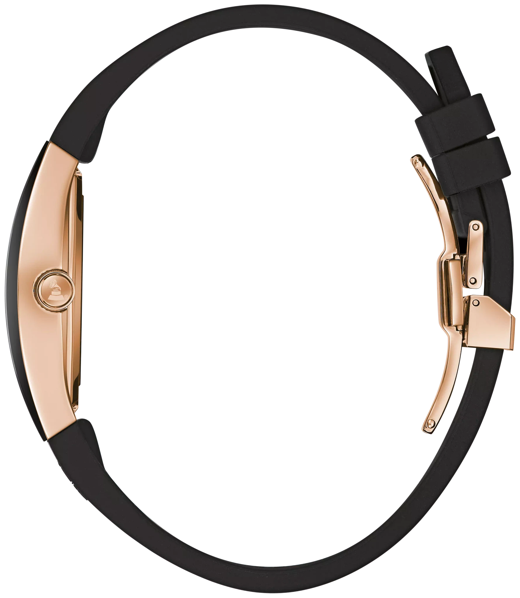 Gemini image number 1