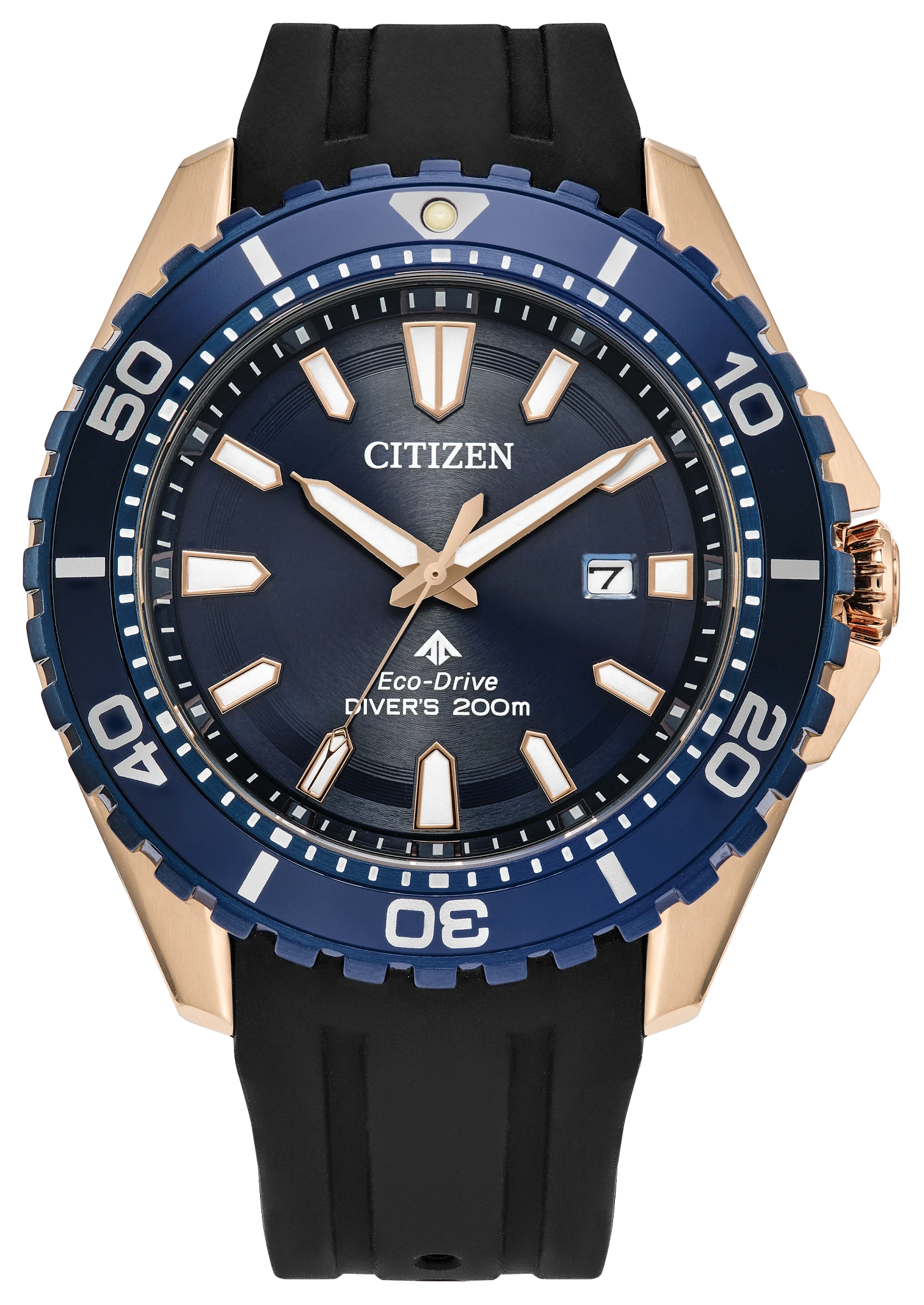au maison Promaster Dive Blue Dial Polyurethane Strap BN0196-01L